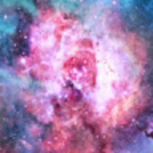 Meet your Posher, Gemma